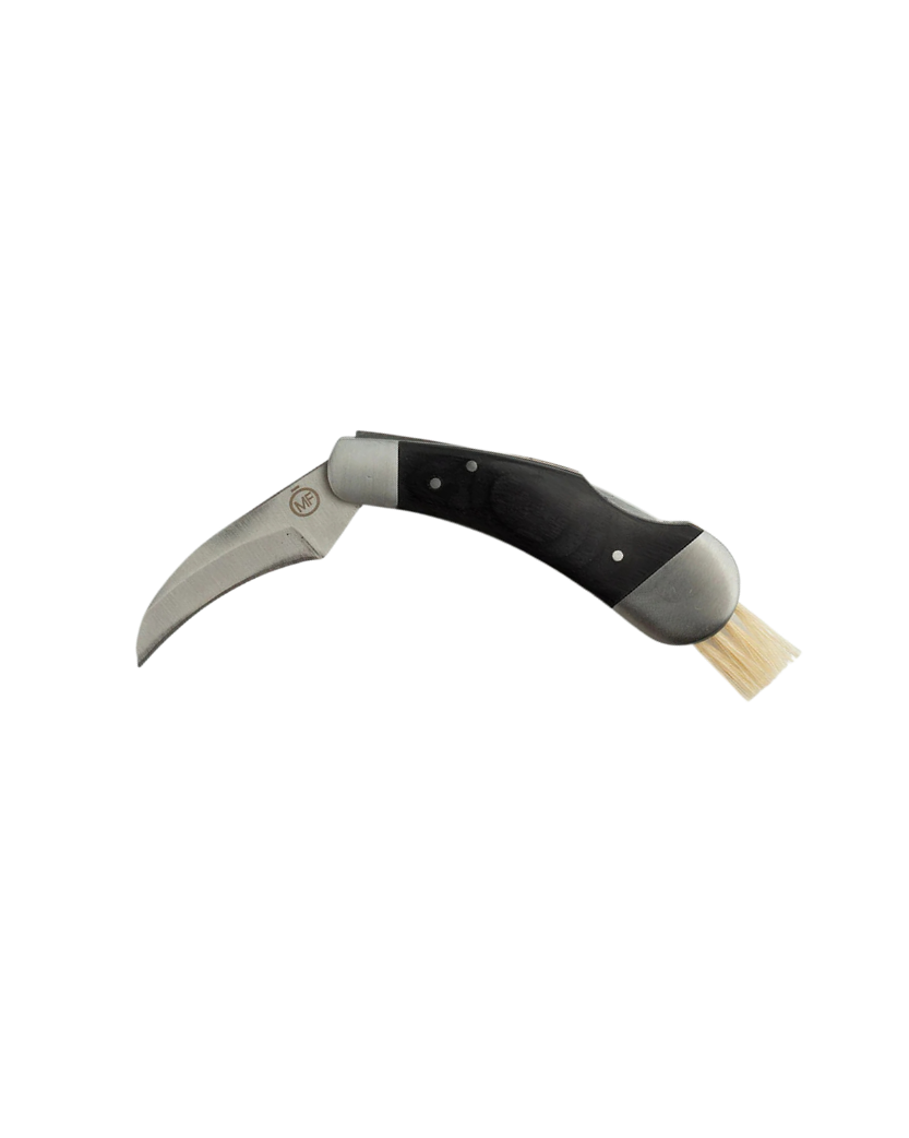 Foraging Knife