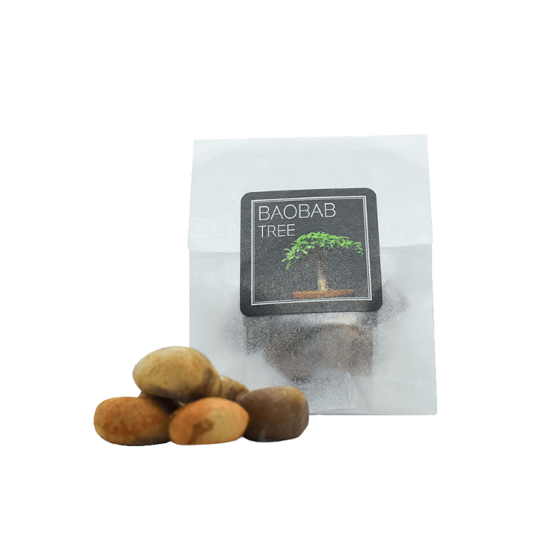 Baobab Tree Bonsai Seeds