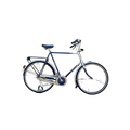 Impala Bicycle