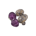 Vitelotte Purple Potatoes