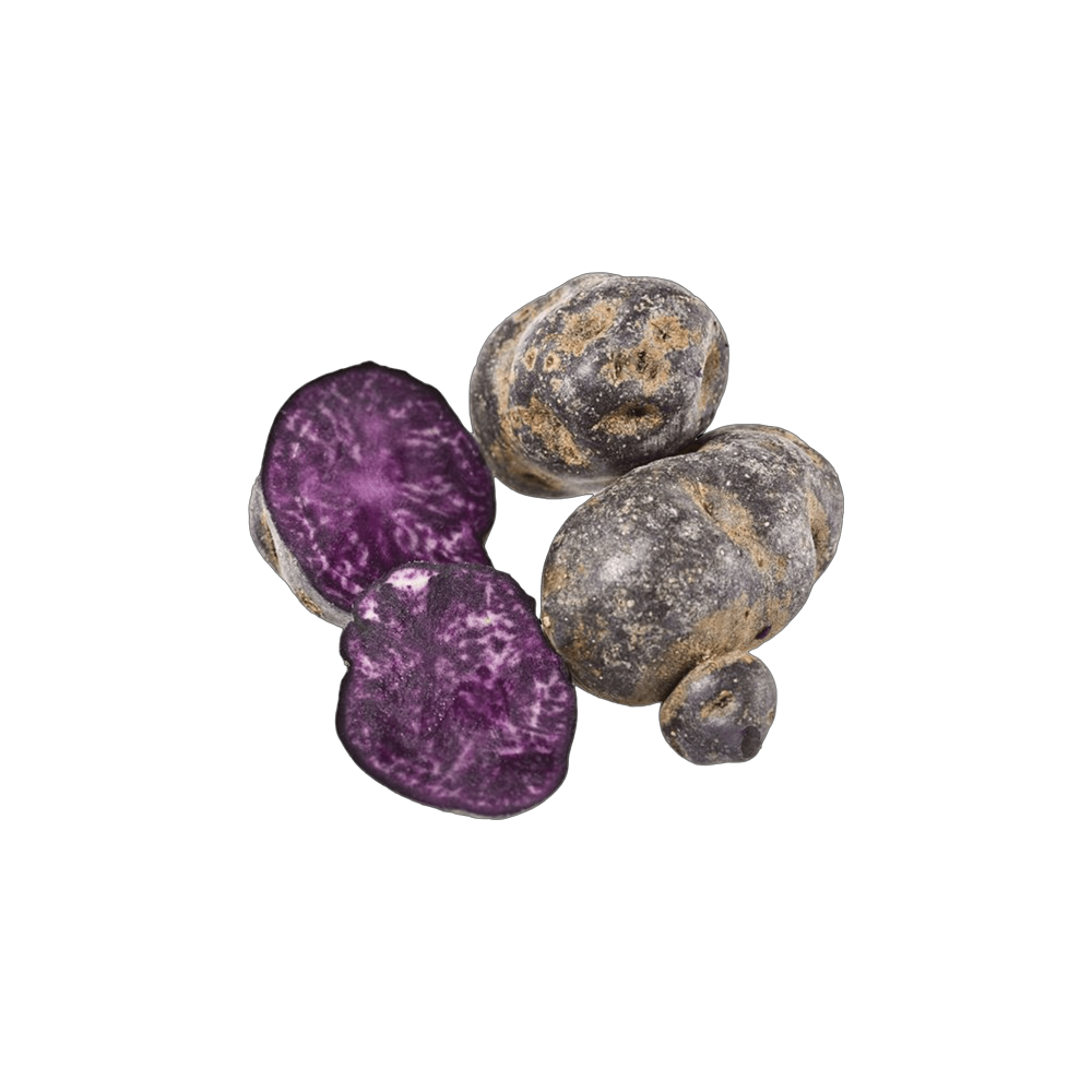 Vitelotte Purple Potatoes