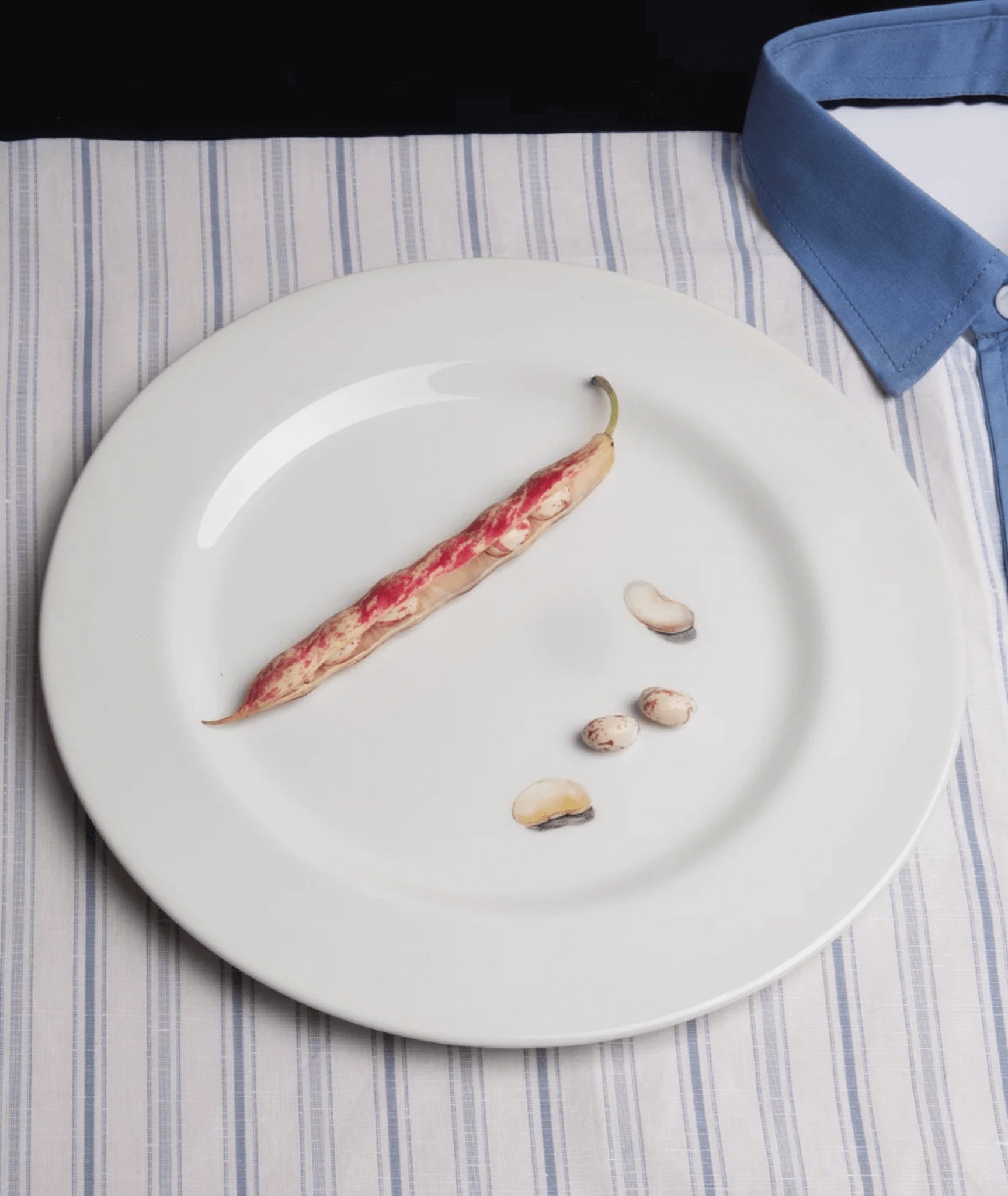 Dinner Plate, Bean Trompe L'oeil
