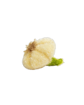 Scrubby Garlic