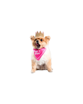 That’s Hot! Dog Bandana
