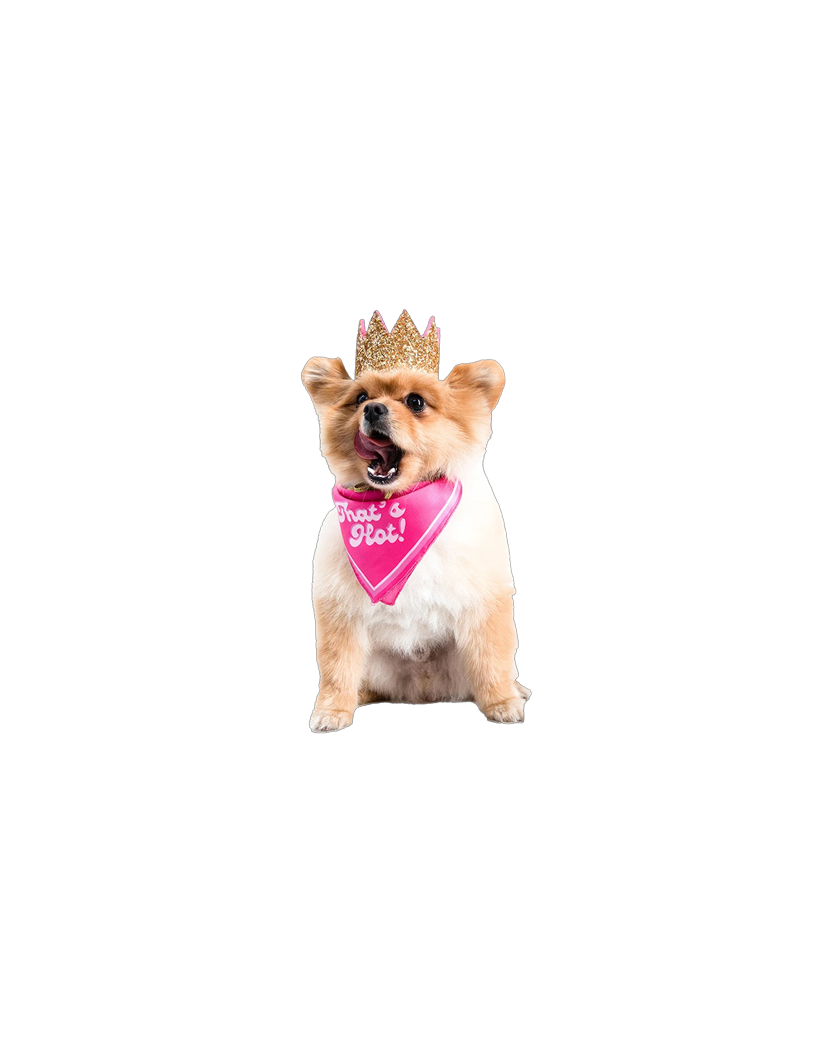 That’s Hot! Dog Bandana