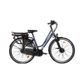 Hybrid E-Bike