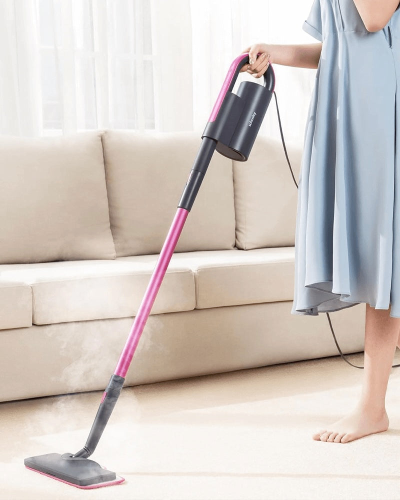 Hand Held Steam Cleaner