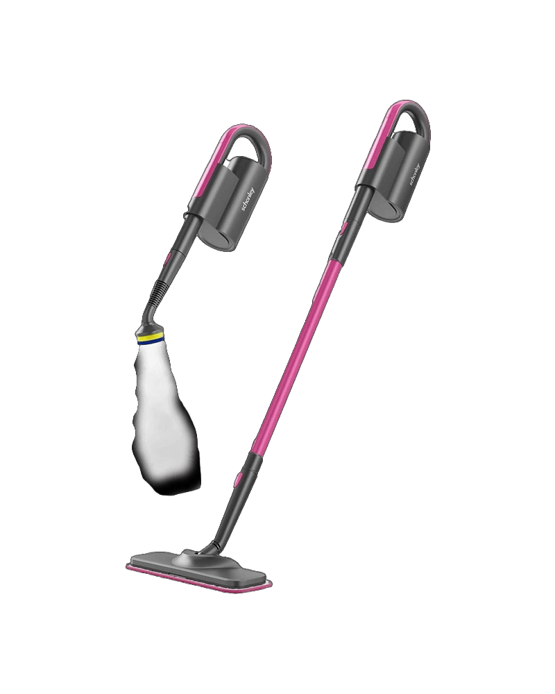 Hand Held Steam Cleaner