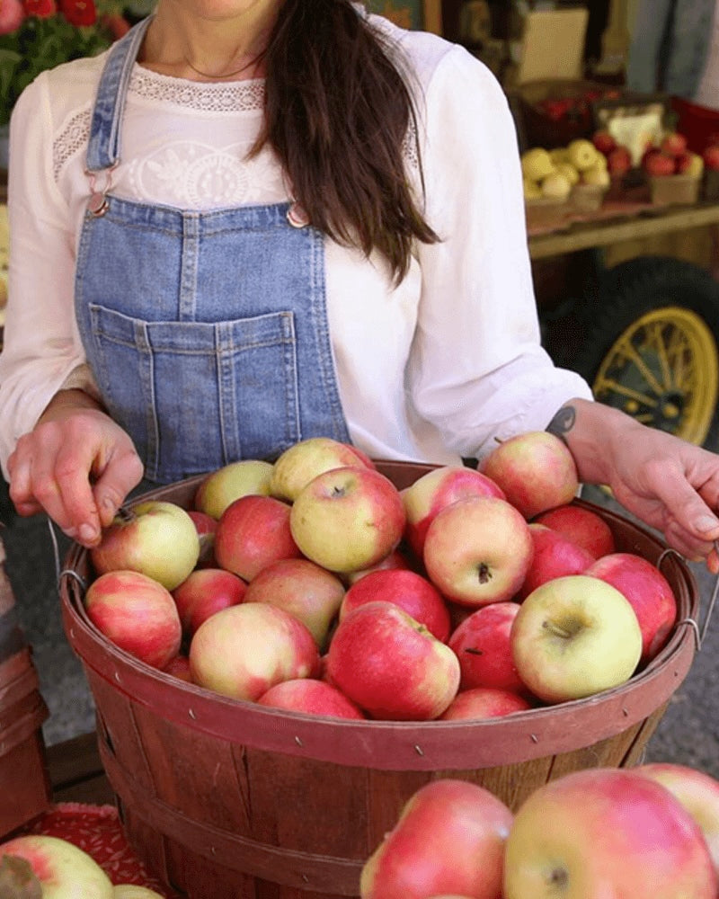 Montgomery Place Apples