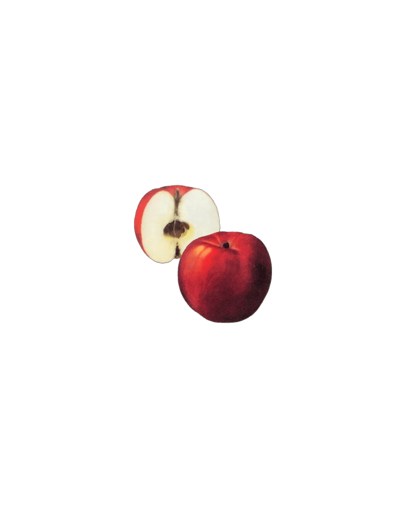 Montgomery Place Apples