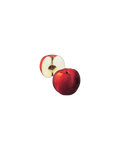 Montgomery Place Apples
