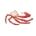 The Cornish Fishmonger Crab