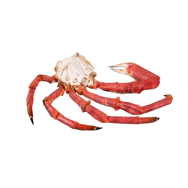 The Cornish Fishmonger Crab