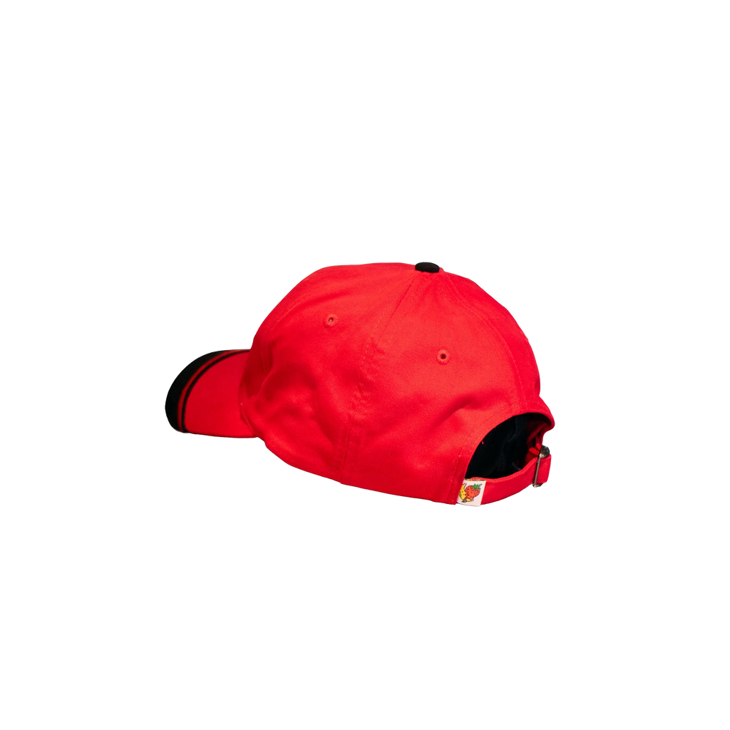 Vintage Hat