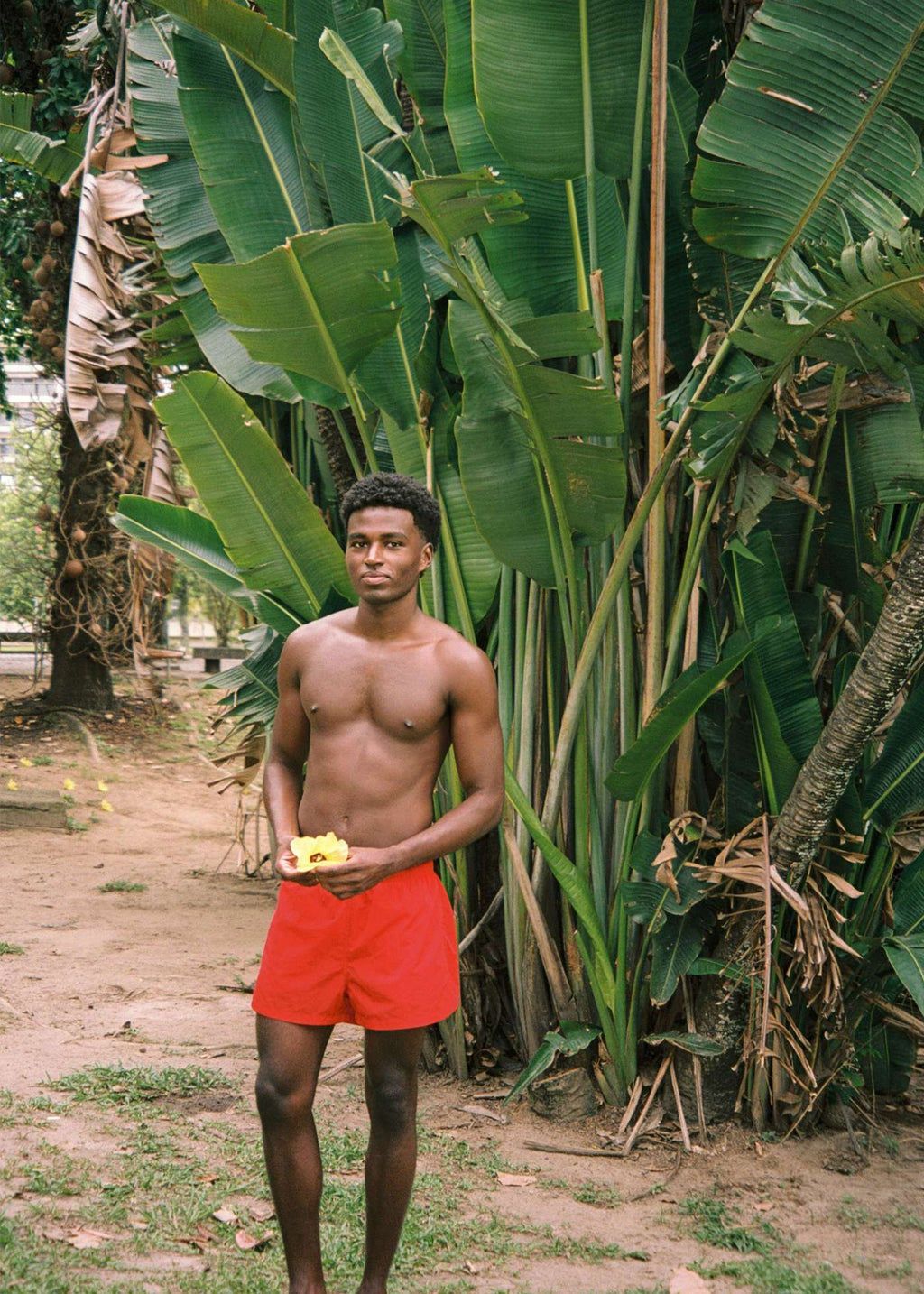 Swim Shorts Short Length