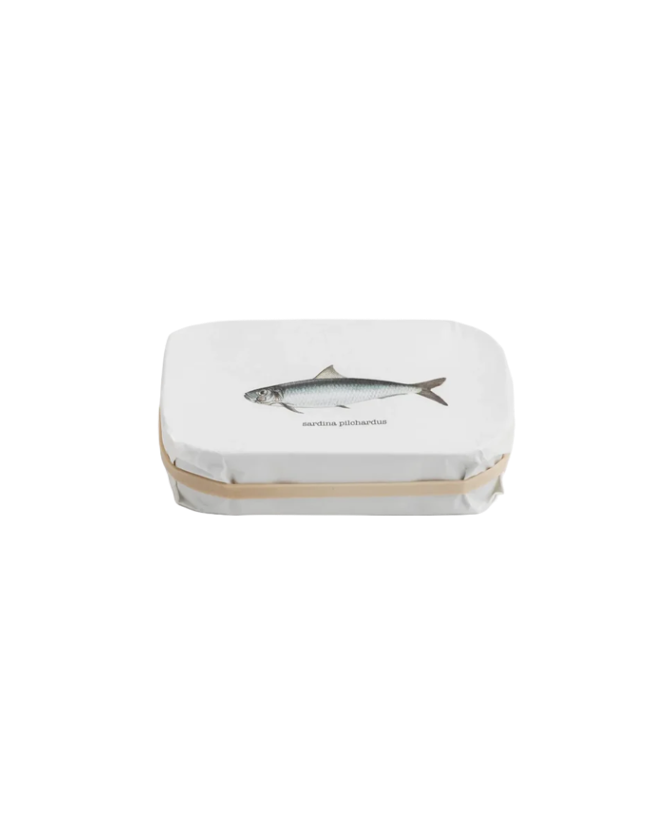Pyscis Sardines 'Heritage' (vintage 2023)